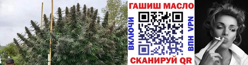 ТГК Wax  блэк спрут вход  Пущино 